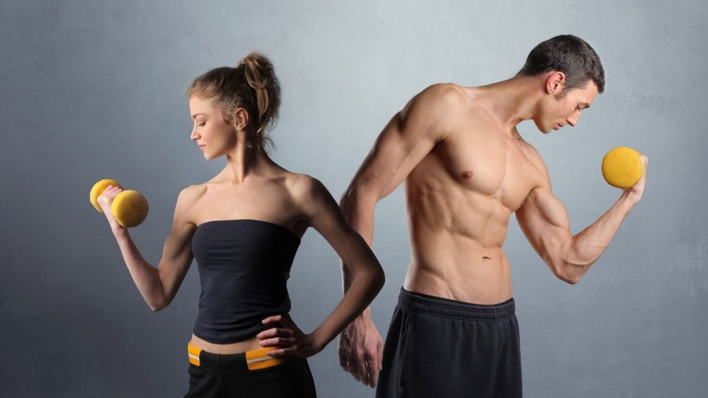 «Секция»: тренажерный зал для начинающих и профессионалов